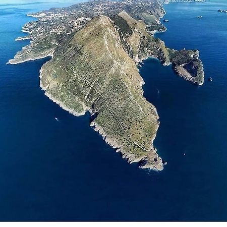 Green Apartment In Sorrento Coast Massa Lubrense Exterior foto